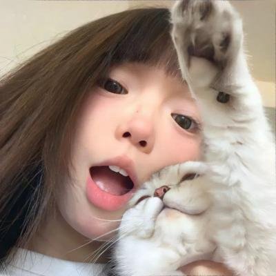 天才猫奴画家